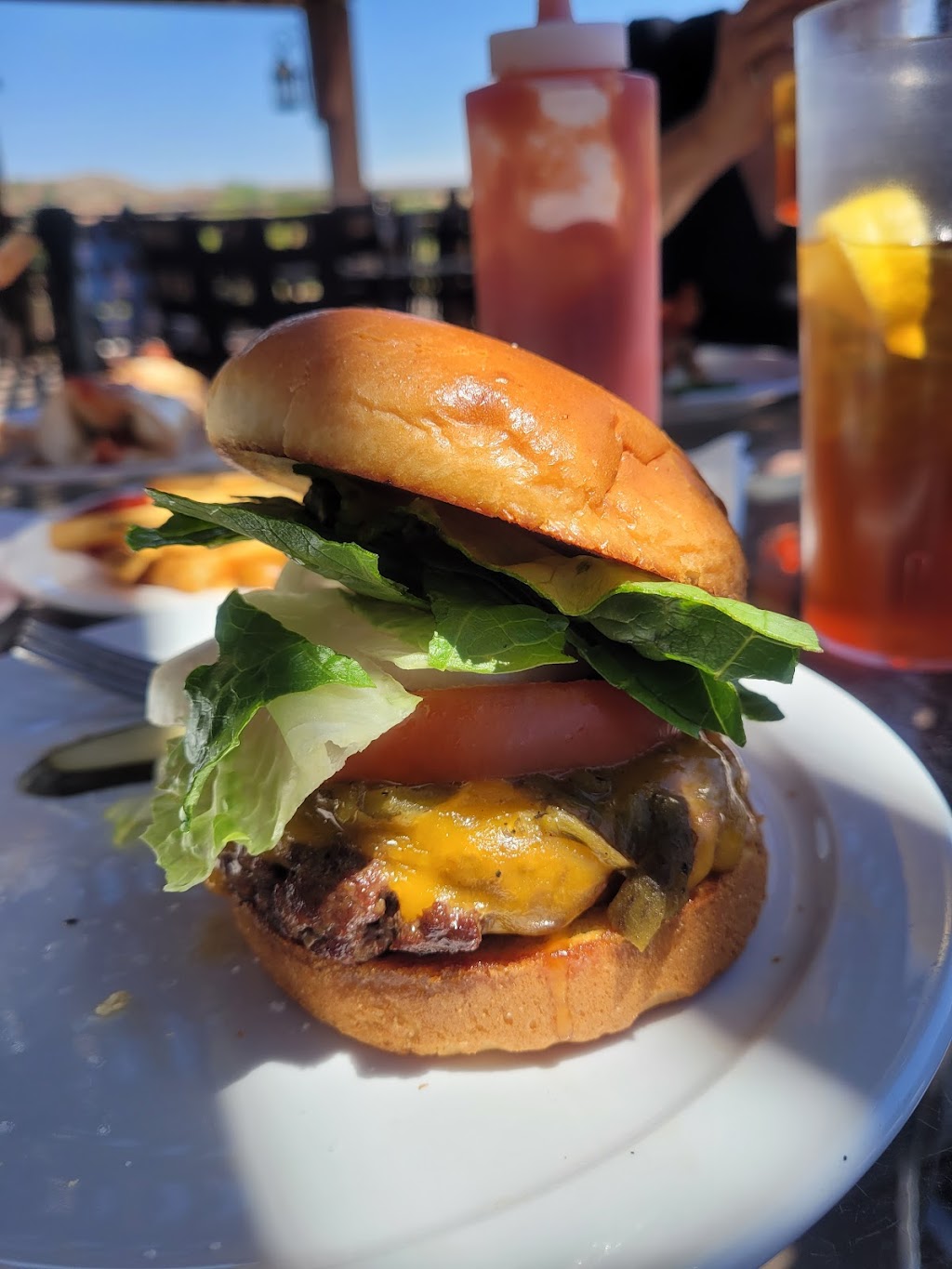 Turtleback Taphouse and Grill | restaurant | 101 Clubhouse Dr, Elephant Butte, NM 87935, USA | 5757447100 OR +1 575-744-7100