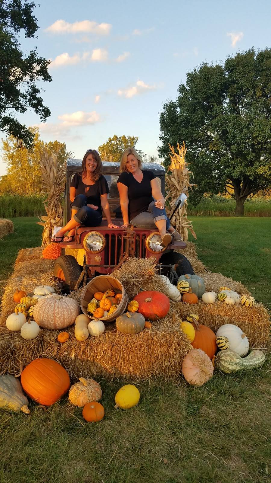 Fashion Farm Inc | restaurant | 1680 Lincolnway W, Ligonier, IN 46767, USA | 2608944498 OR +1 260-894-4498