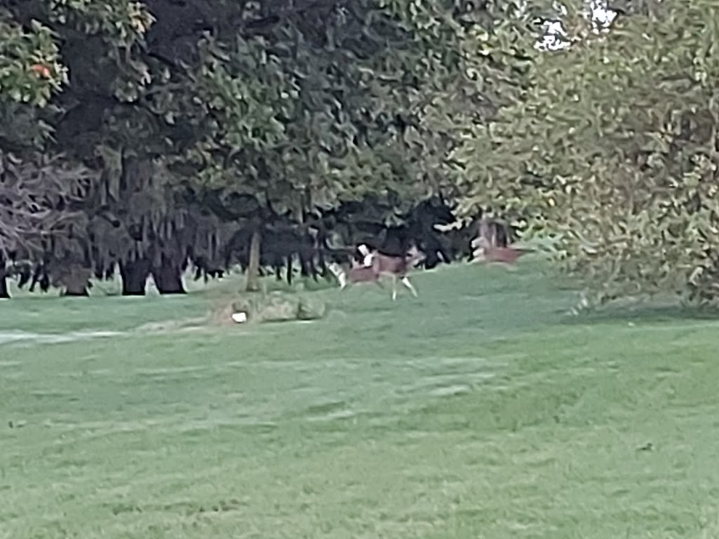 Washington Golf & Country Club | restaurant | 1732 Country Club Rd, Washington, IA 52353, USA | 3196532080 OR +1 319-653-2080