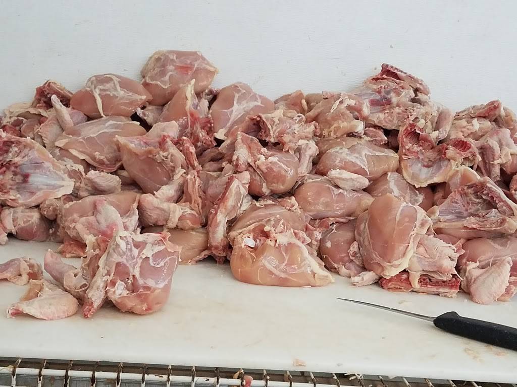 Chicanos | restaurant | 4718 New Utrecht Ave, Brooklyn, NY 11219, USA | 3472409198 OR +1 347-240-9198