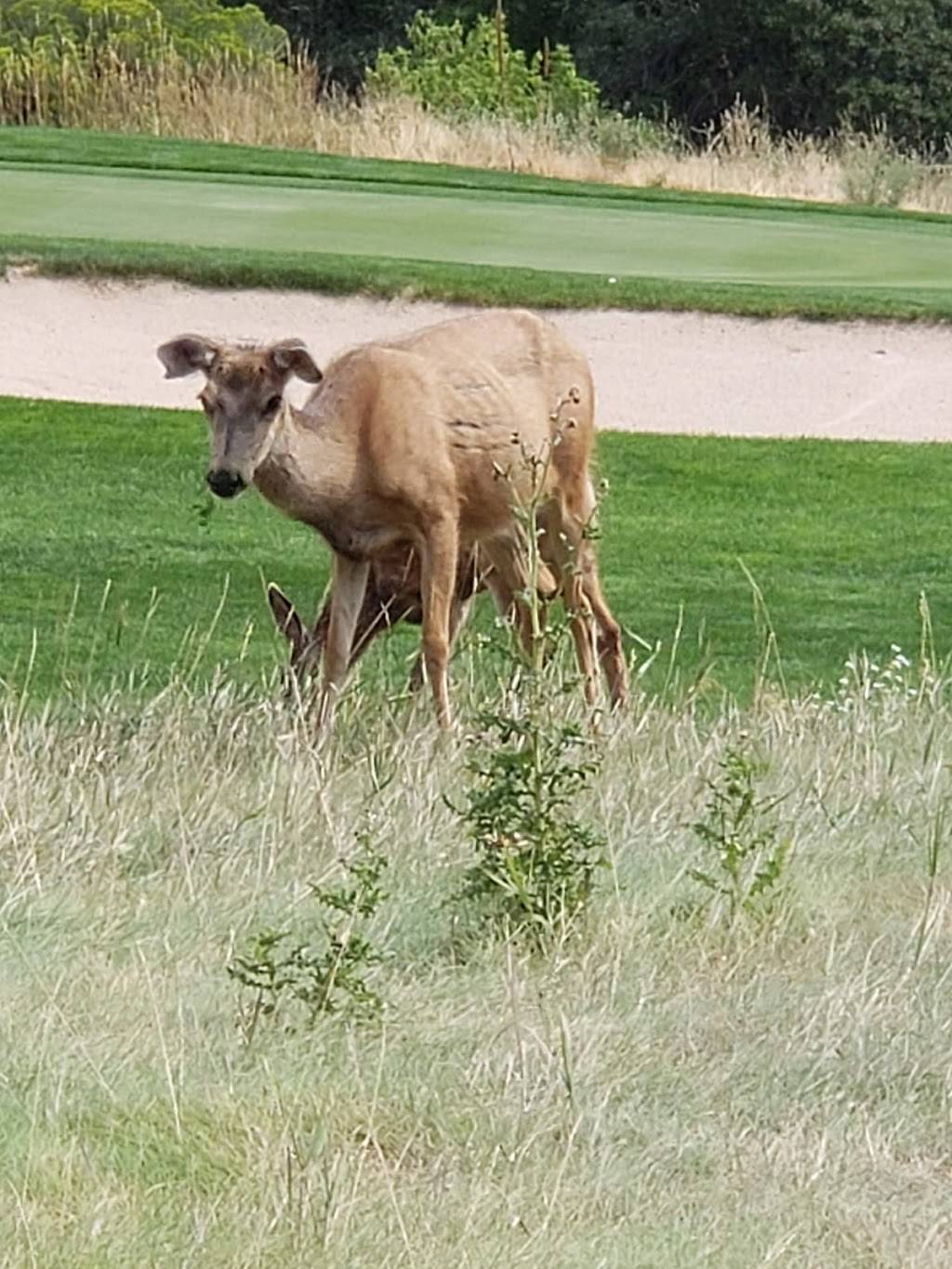 On the Rocks Bar & Grill at Arrowhead Golf Club | restaurant | 10850 Sundown Trail, Littleton, CO 80125, USA | 3039739614 OR +1 303-973-9614