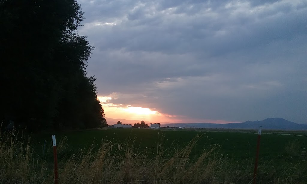 Golden West Dining Restaurant & Motel | restaurant | 711 Main St, Loyalton, CA 96118, USA | 5309934467 OR +1 530-993-4467