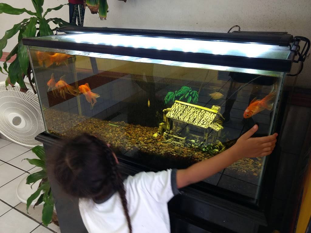 L A Express | restaurant | 1610 Lemon St, Anaheim, CA 92801, USA | 7144410888 OR +1 714-441-0888