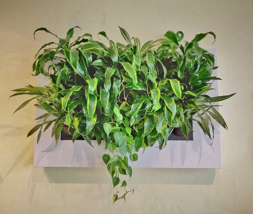 Green Elephant Juicery Avon | cafe | 150 E Beaver Creek Blvd, Avon, CO 81620, USA | 9704704042 OR +1 970-470-4042