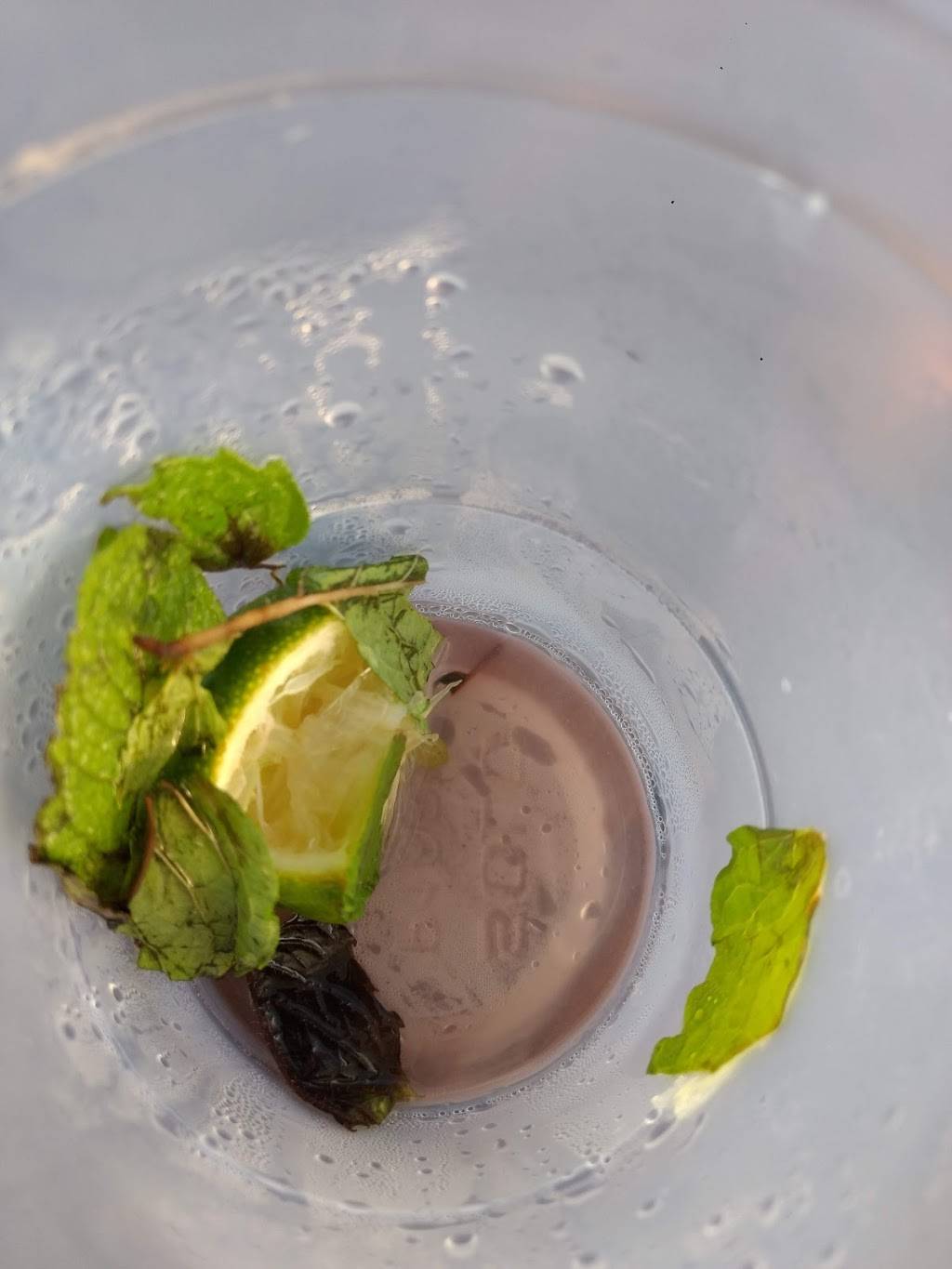 Rikki Tiki Tavern | restaurant | 401 Meade Ave, Cocoa Beach, FL 32931, USA | 3217837549 OR +1 321-783-7549