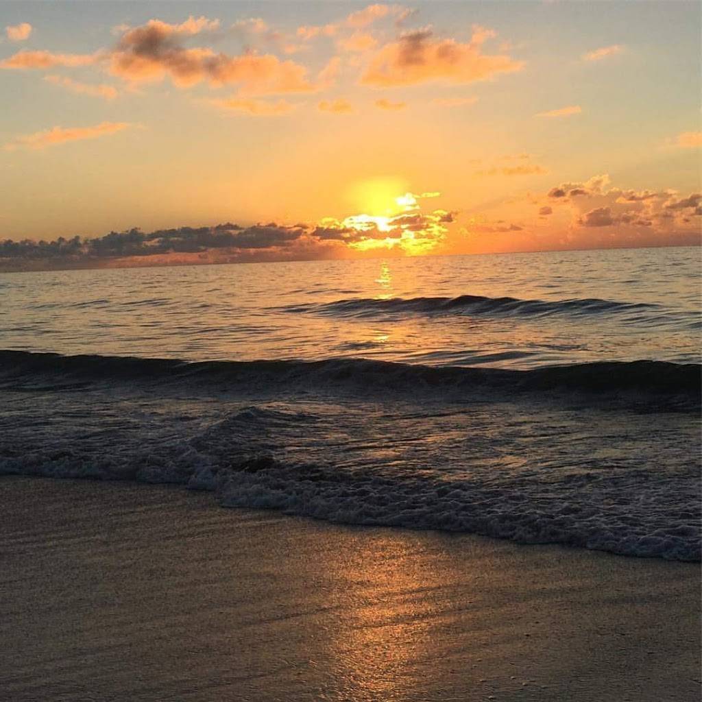 California Pizza Kitchen at Brentwood | restaurant | 11677 San Vicente Blvd, Los Angeles, CA 90049, USA | 3108263573 OR +1 310-826-3573