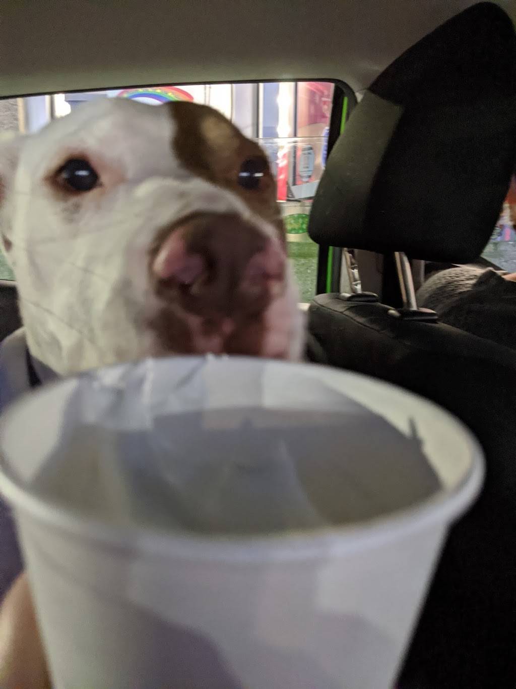 Sonic Drive-In | restaurant | 351 Southern Blvd, Albany, NY 12209, USA | 5185990774 OR +1 518-599-0774