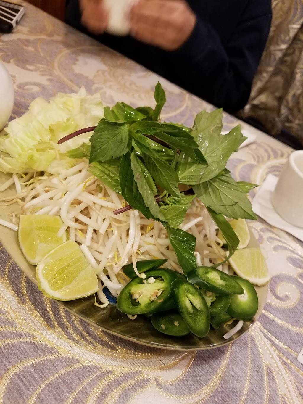 Vinh Chau Restaurant | restaurant | 1885, 409 Dickinson St, Springfield, MA 01108, USA | 4137318858 OR +1 413-731-8858