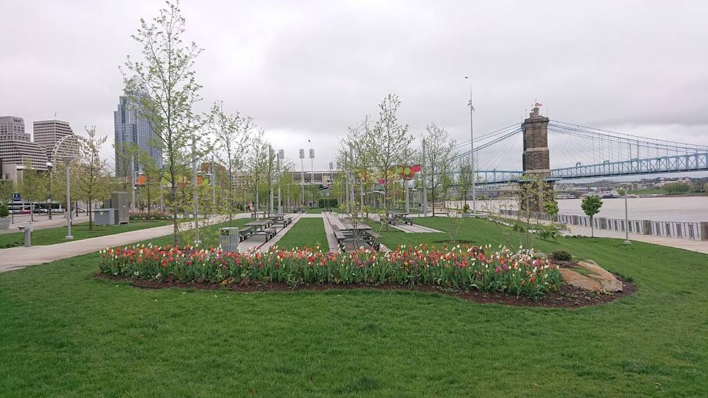 BurgerFi: Take Out Available | restaurant | 161 E Freedom Way #180, Cincinnati, OH 45202, USA | 5138322817 OR +1 513-832-2817