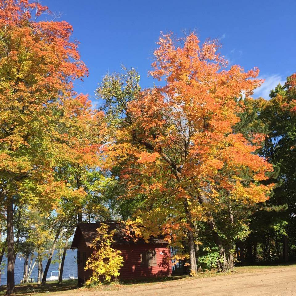 Paradise Resort Bar & Grill | restaurant | 10067 Leisure Ln, Brainerd, MN 56401, USA | 2187642328 OR +1 218-764-2328