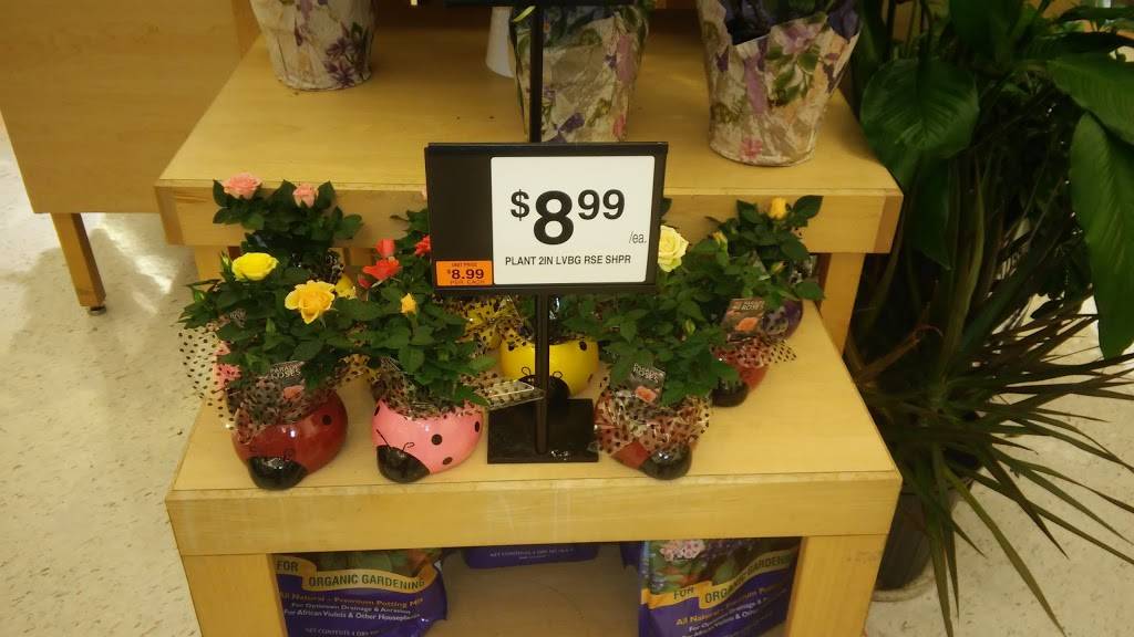 Fox Run Shopping Center | shopping mall | 615 Solomons Island Rd N, Prince Frederick, MD 20678, USA | 6108347287 OR +1 610-834-7287