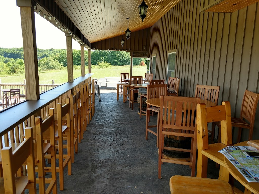 Petoskey Farms Vineyard & Winery | restaurant | 3720 Atkins Rd, Petoskey, MI 49770, USA | 2312909463 OR +1 231-290-9463