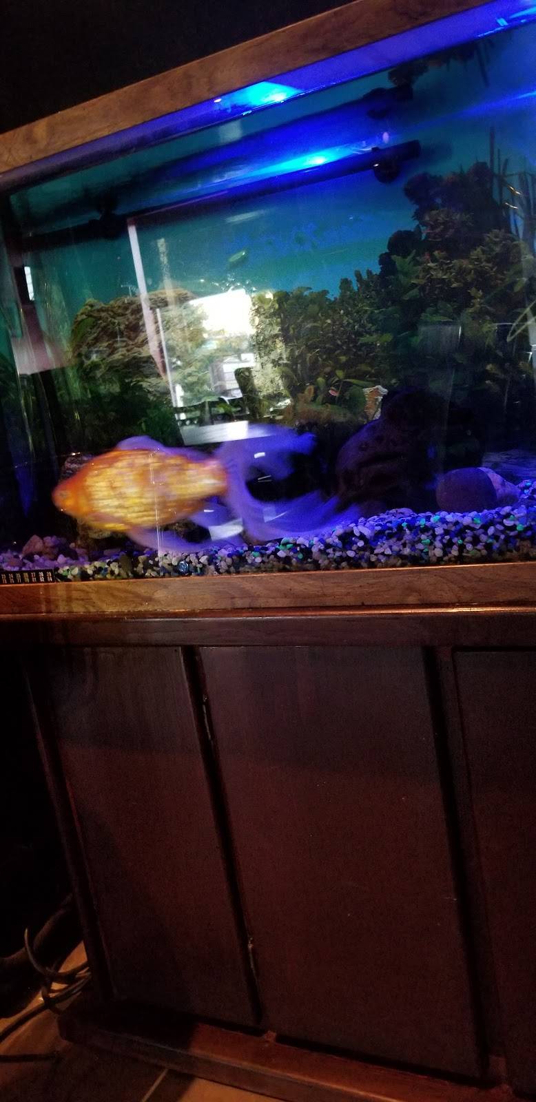 Vincents | restaurant | 422 Stokes Rd, Medford, NJ 08055, USA | 6099536873 OR +1 609-953-6873