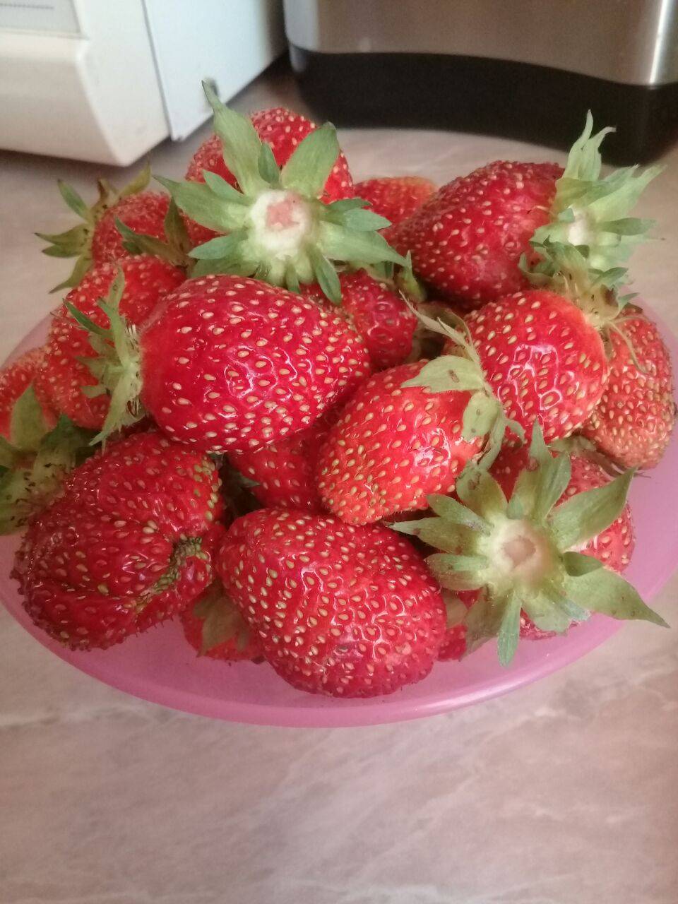 Grato | restaurant | 2230 NJ-10, Morris Plains, NJ 07950, USA | 9732674006 OR +1 973-267-4006