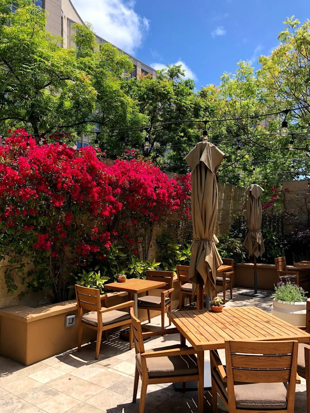 Quattro | restaurant | 2050 University Ave, East Palo Alto, CA 94303, USA | 6504702889 OR +1 650-470-2889