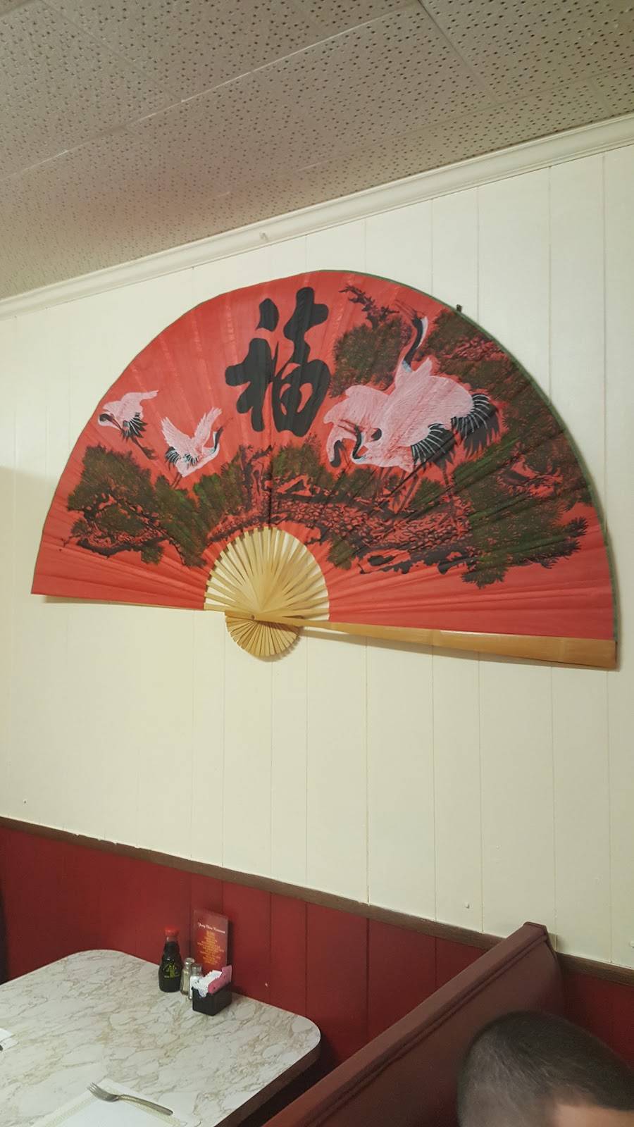 Young China Restaurant | restaurant | 250 Warren Ave, East Providence, RI 02914, USA | 4014340037 OR +1 401-434-0037