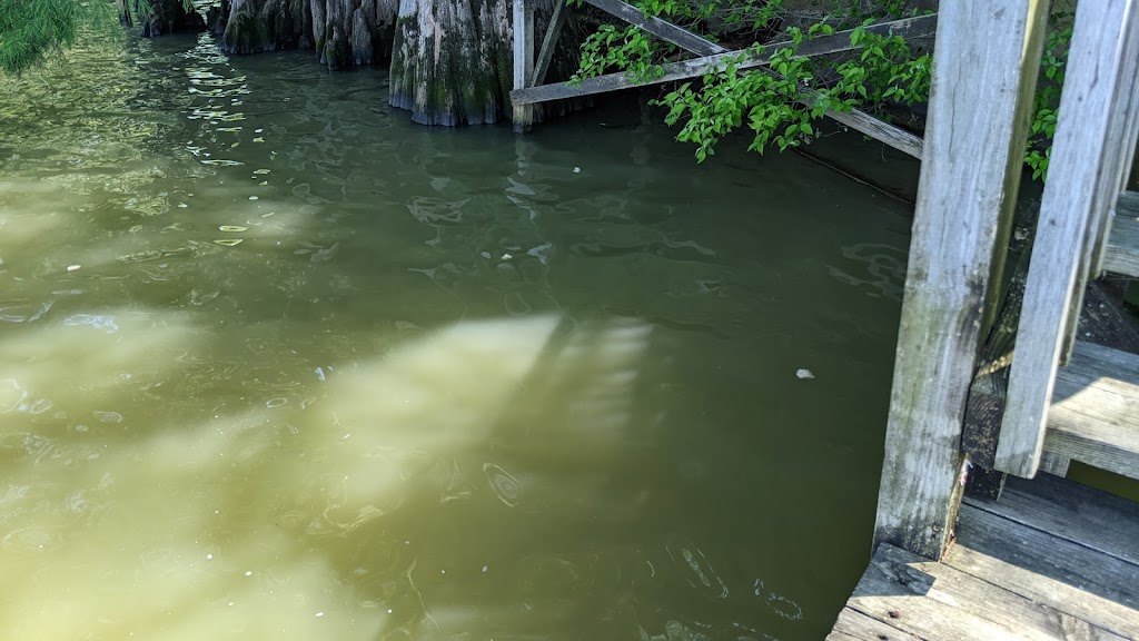 The Dock | restaurant | 1829 Lake St, Lake Providence, LA 71254, USA | 3185593625 OR +1 318-559-3625