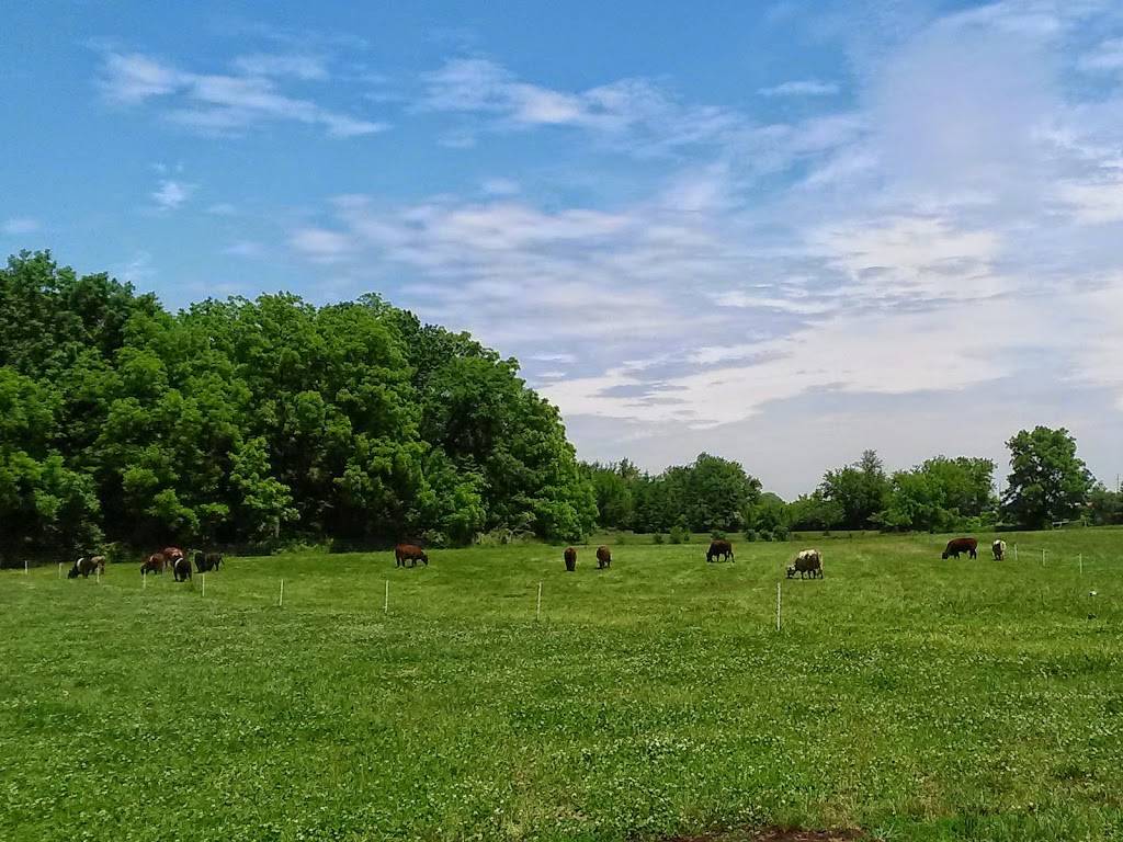 BP Farms, LLC | restaurant | 6300 N Rea Rd, Dundee, MI 48131, USA | 7344304261 OR +1 734-430-4261