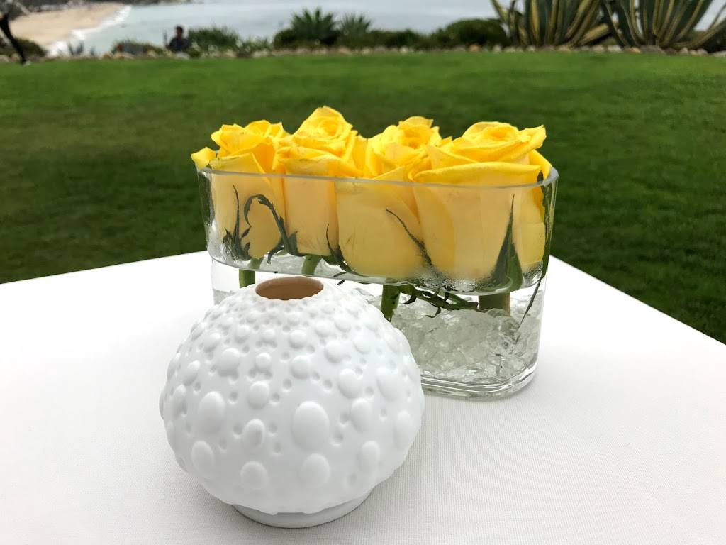 Studio | restaurant | 30801 South Coast Hwy, Laguna Beach, CA 92651, USA | 9497156030 OR +1 949-715-6030