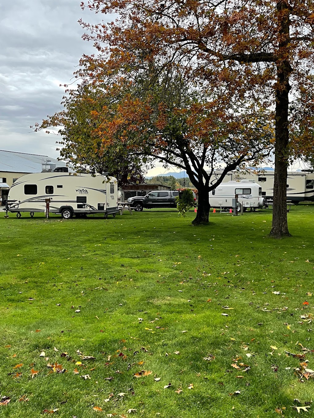 Oostema Wagyu Beef | restaurant | 8402 Northwood Rd, Lynden, WA 98264, USA | 3608151494 OR +1 360-815-1494