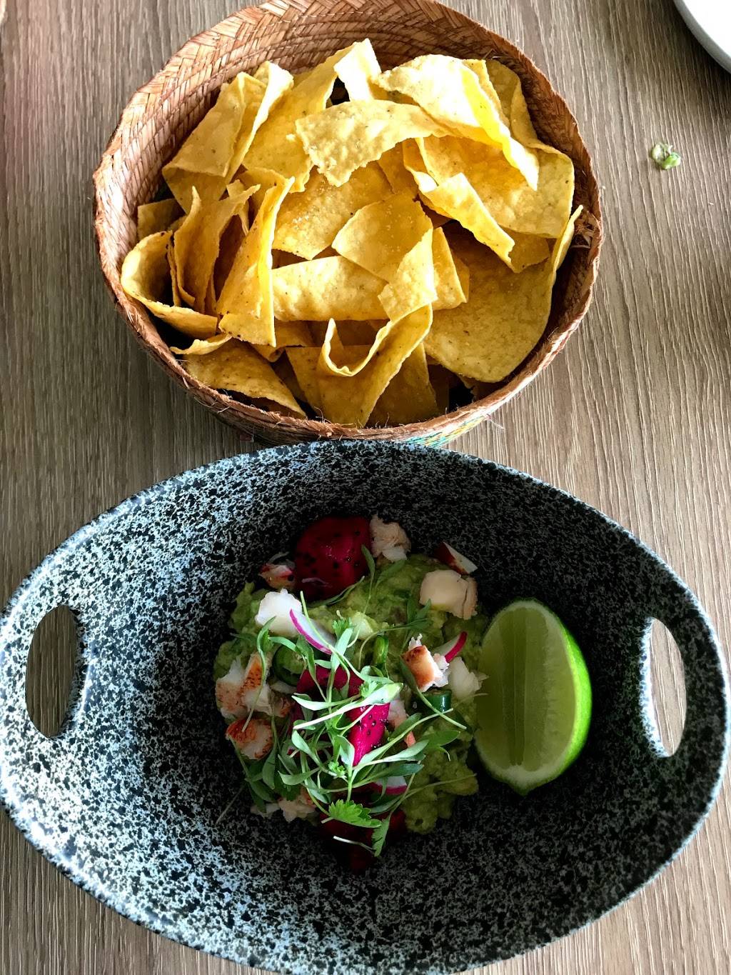 Diez y Seis | restaurant | 1901 Collins Ave, Miami Beach, FL 33139, USA | 3056953226 OR +1 305-695-3226