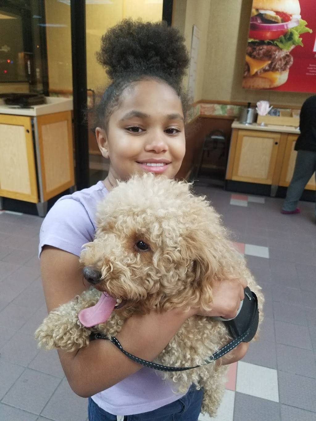 Wendys | restaurant | 757 Boston Rd, Springfield, MA 01119, USA | 4132737780 OR +1 413-273-7780