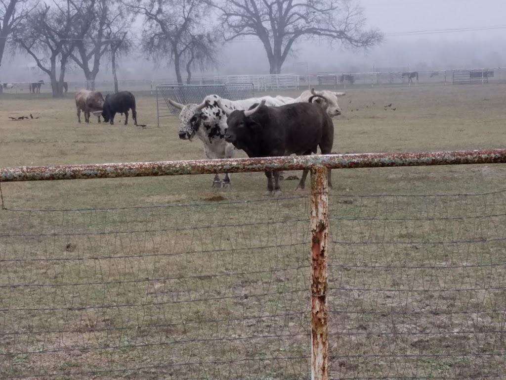 Villa Bonita | restaurant | 1006 Qualia Dr, Del Rio, TX 78840, USA | 8303138188 OR +1 830-313-8188