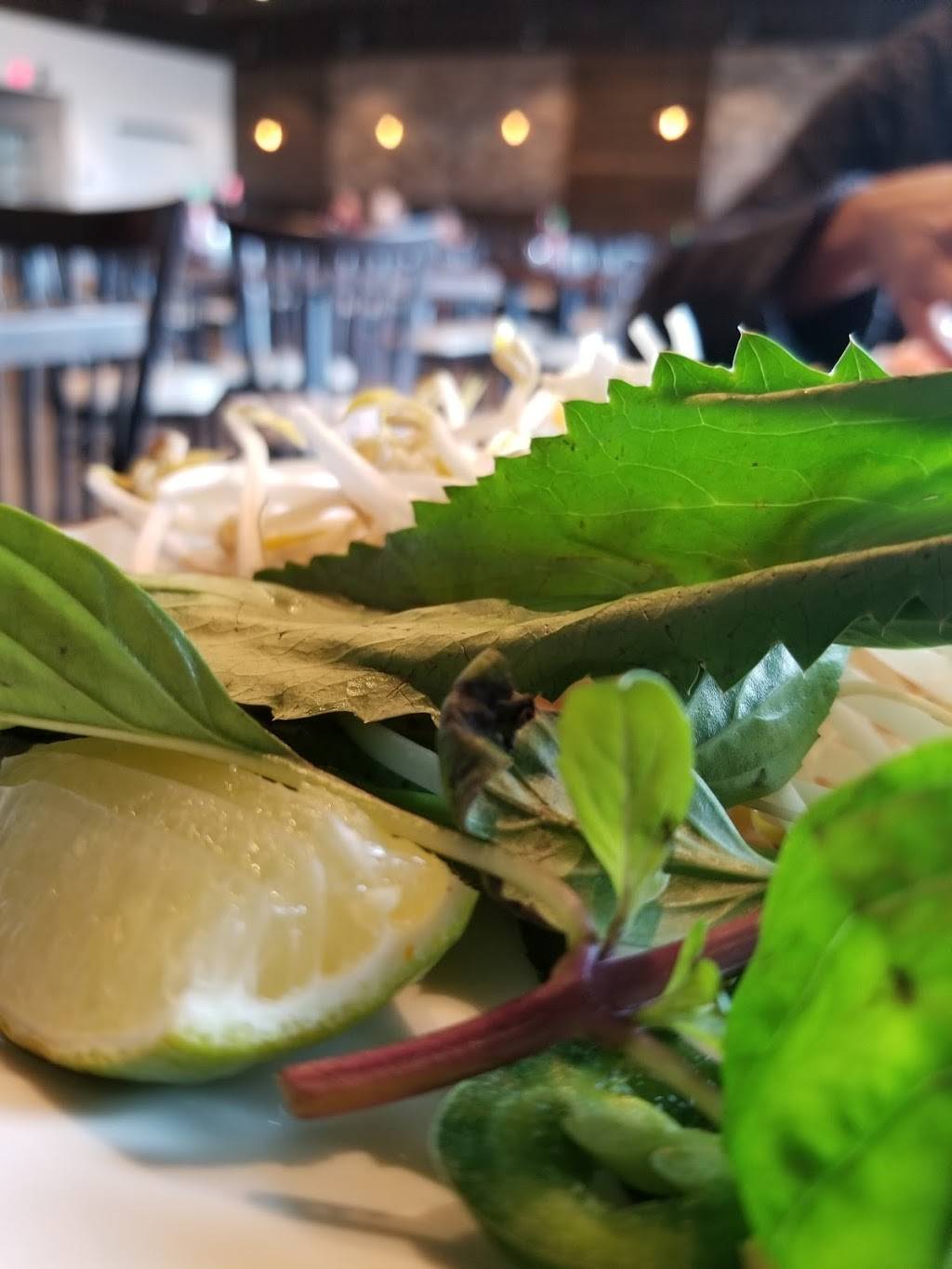 Pho Mai | restaurant | 13025 S US-301, Suite 103, Riverview, FL 33578, USA | 8134424194 OR +1 813-442-4194