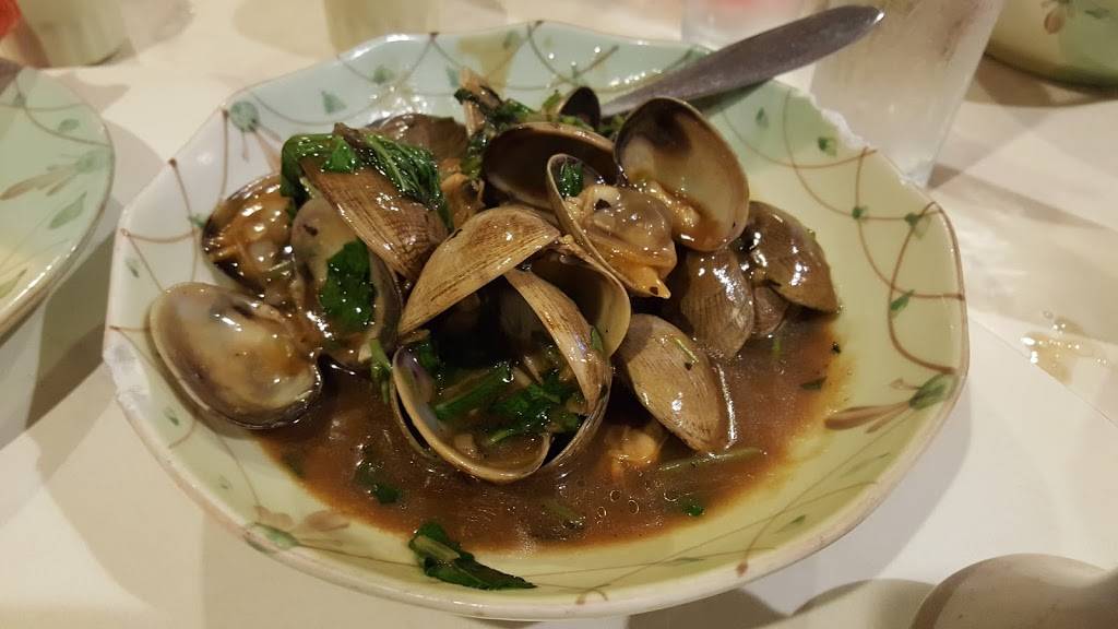 Lucky Star Chinese Restaurant | restaurant | 4175 66th St N, St. Petersburg, FL 33709, USA | 7273818888 OR +1 727-381-8888