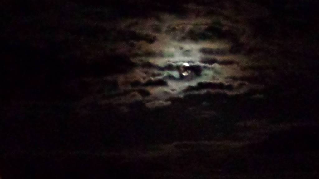 Papa Johns Pizza | restaurant | 785 Cumberland Gap Pkwy, Corbin, KY 40701, USA | 6065235858 OR +1 606-523-5858