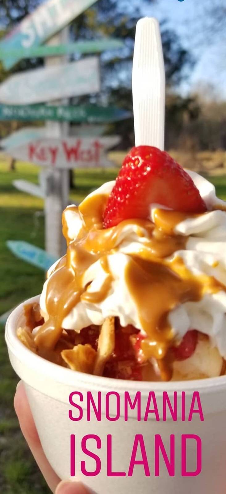 SnoMania | restaurant | 7852 Richmond Rd, Toano, VA 23168, USA | 7573458506 OR +1 757-345-8506