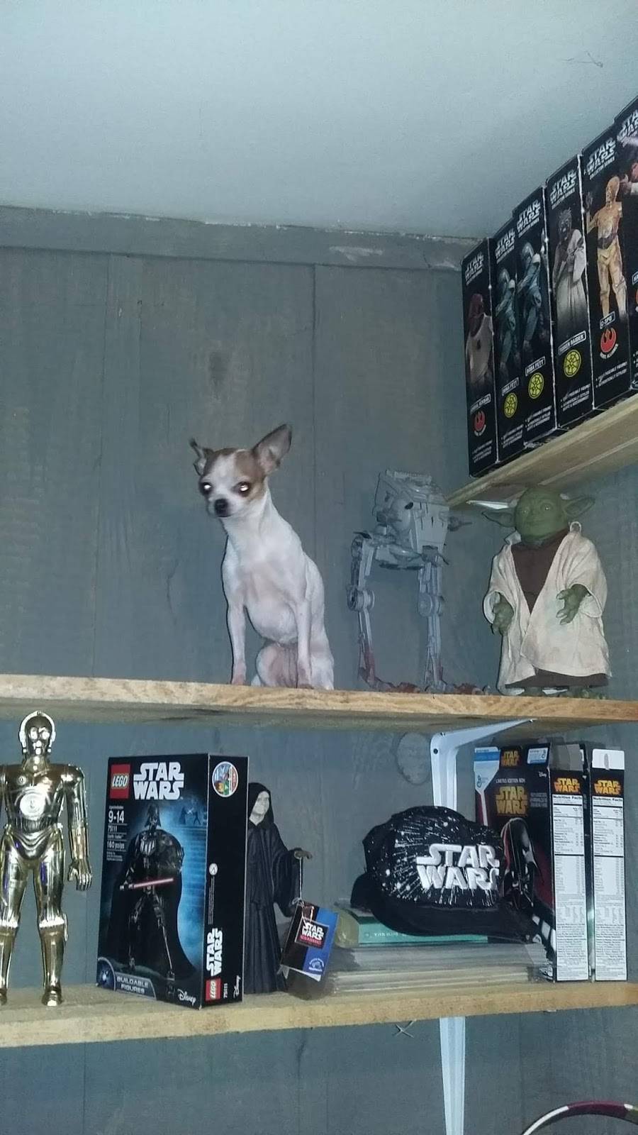 Pizza Hut | restaurant | 16455 Main St, Hesperia, CA 92345, USA | 7609472777 OR +1 760-947-2777