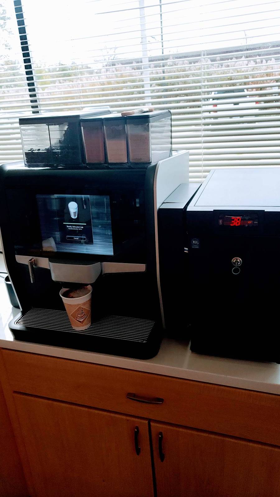 Tapped Coffee & Craft Beverages | bakery | 39481 Joy Rd, Canton, MI 48187, USA | 7347386984 OR +1 734-738-6984