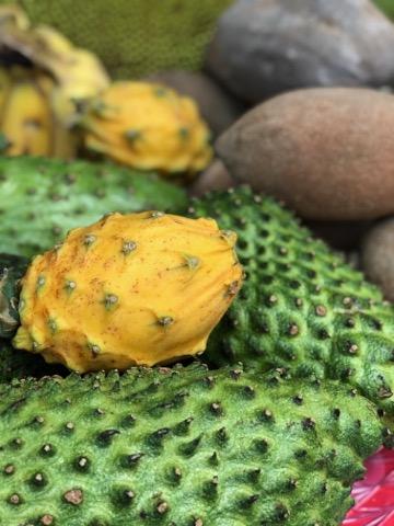 Ital Food Truck | restaurant | 1603 S N St, Lake Worth, FL 33460, USA | 5617045423 OR +1 561-704-5423