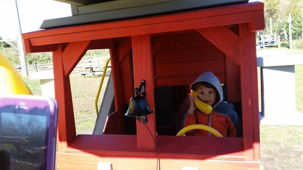 Rays Pizza | restaurant | 95 Woodstown Rd, Swedesboro, NJ 08085, USA | 8564679911 OR +1 856-467-9911