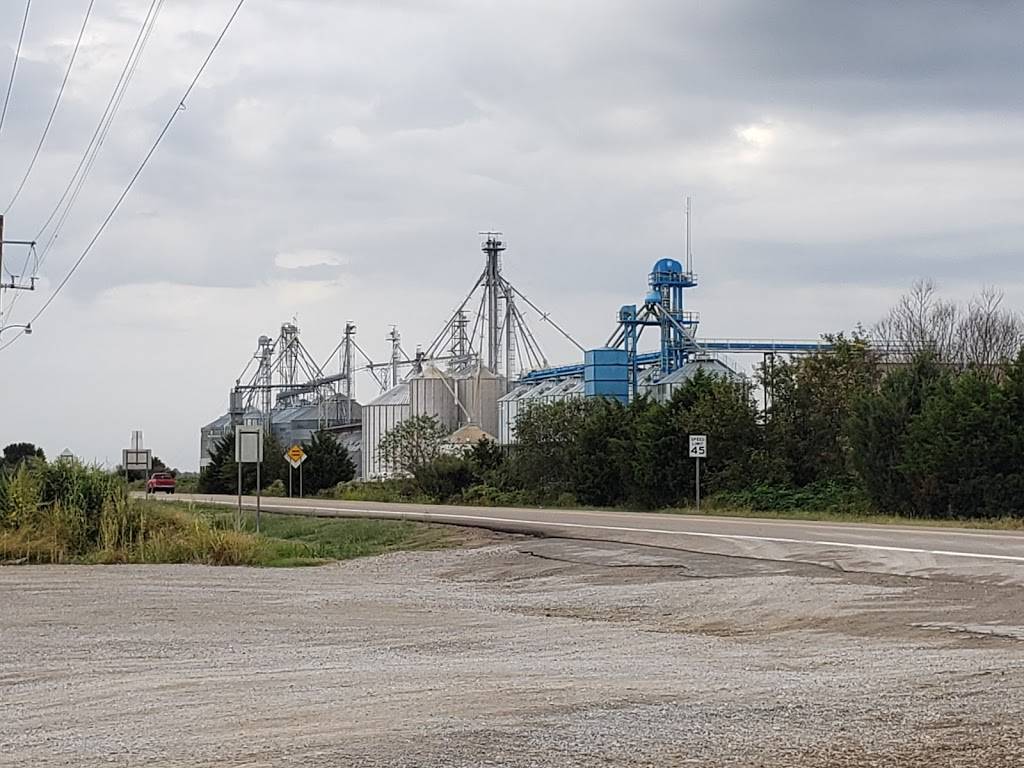 Dairy Shack | restaurant | 7964 US 49, Waldenburg, AR 72475, USA | 8705792214 OR +1 870-579-2214