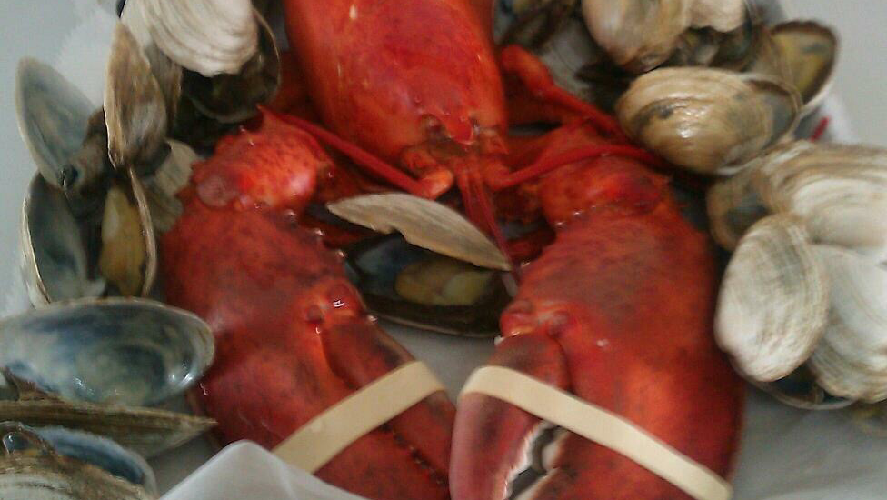 Rye Harbor Lobster | restaurant | 1870 Ocean Blvd, Rye, NH 03870, USA | 6039647845 OR +1 603-964-7845