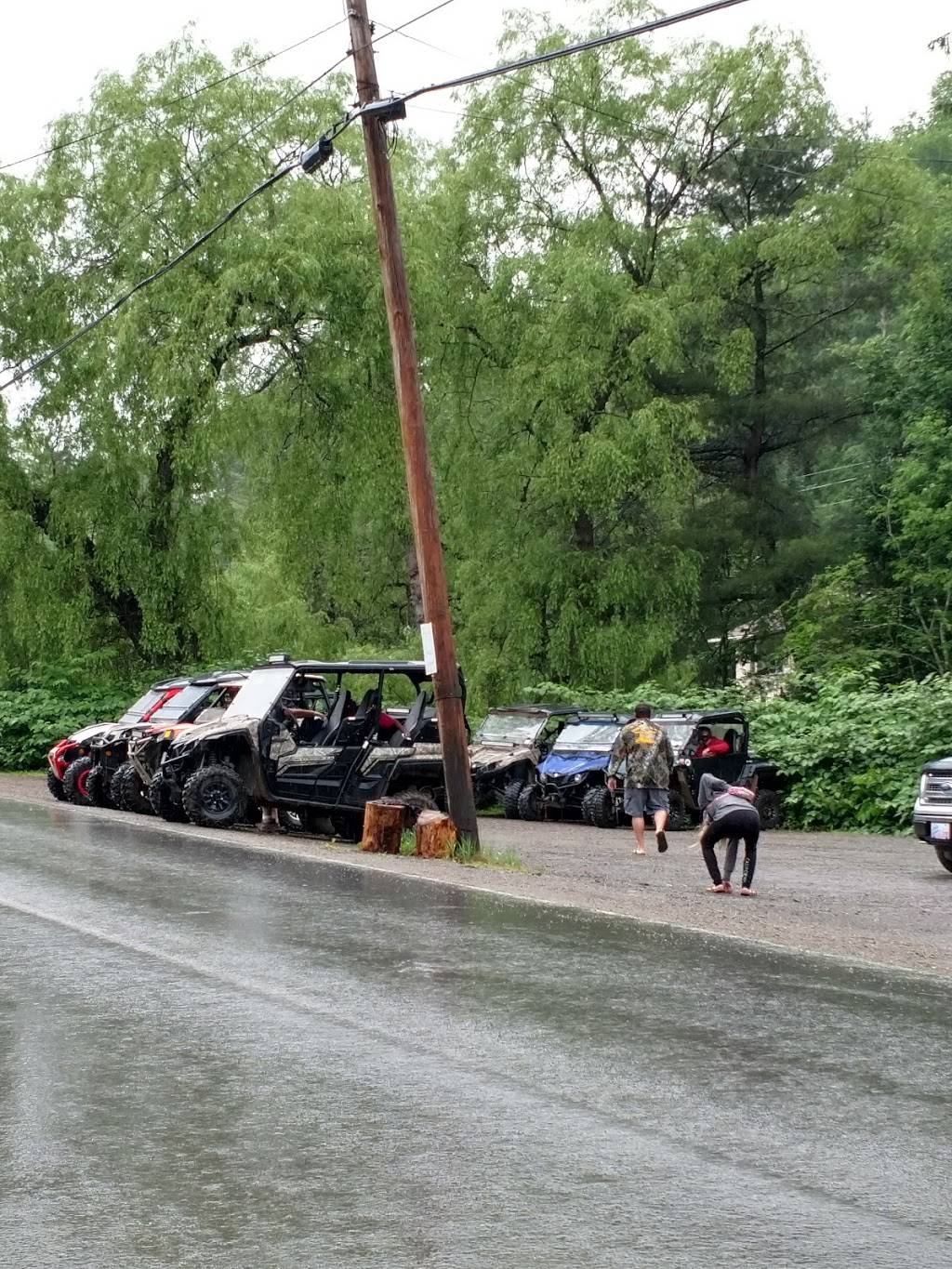 Waldheim | restaurant | 1386 Germania Rd, Galeton, PA 16922, USA | 8144356600 OR +1 814-435-6600