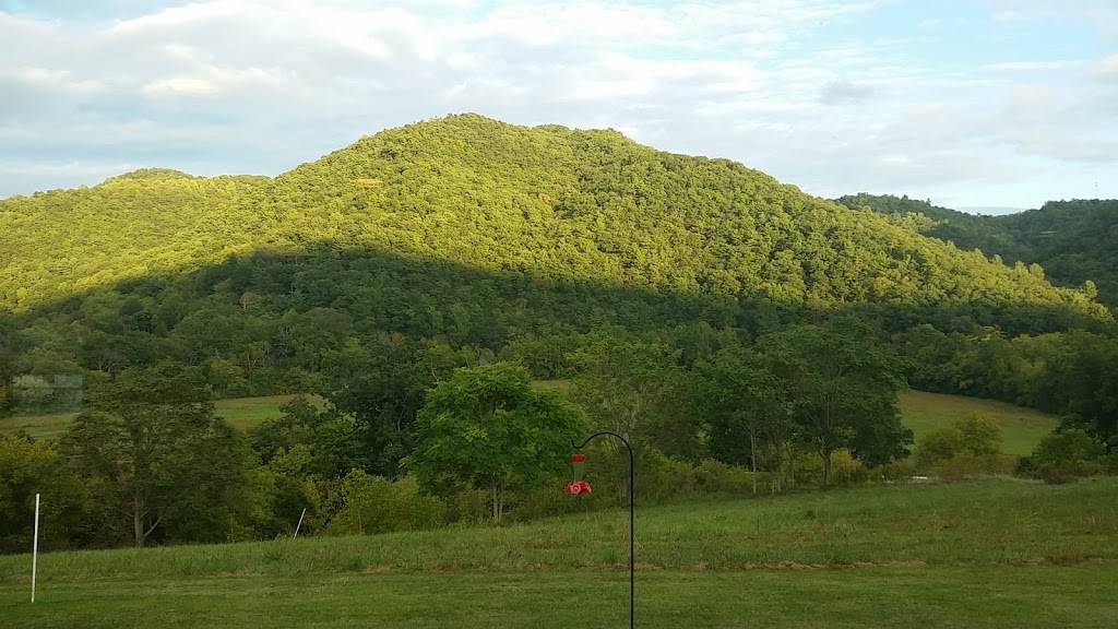 Mountain View Italian Kitchen | restaurant | 3199 N Fork Rd, Elliston, VA 24087, USA | 5402682512 OR +1 540-268-2512