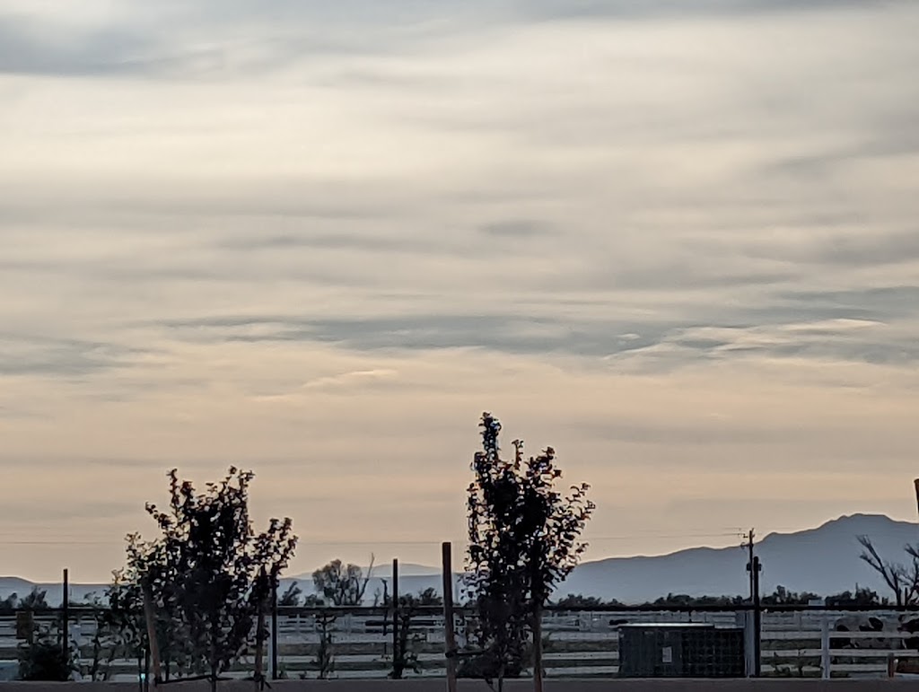 Tirrito Farm | restaurant | 6150 S Kansas Settlement Rd, Willcox, AZ 85643, USA | 5202007270 OR +1 520-200-7270