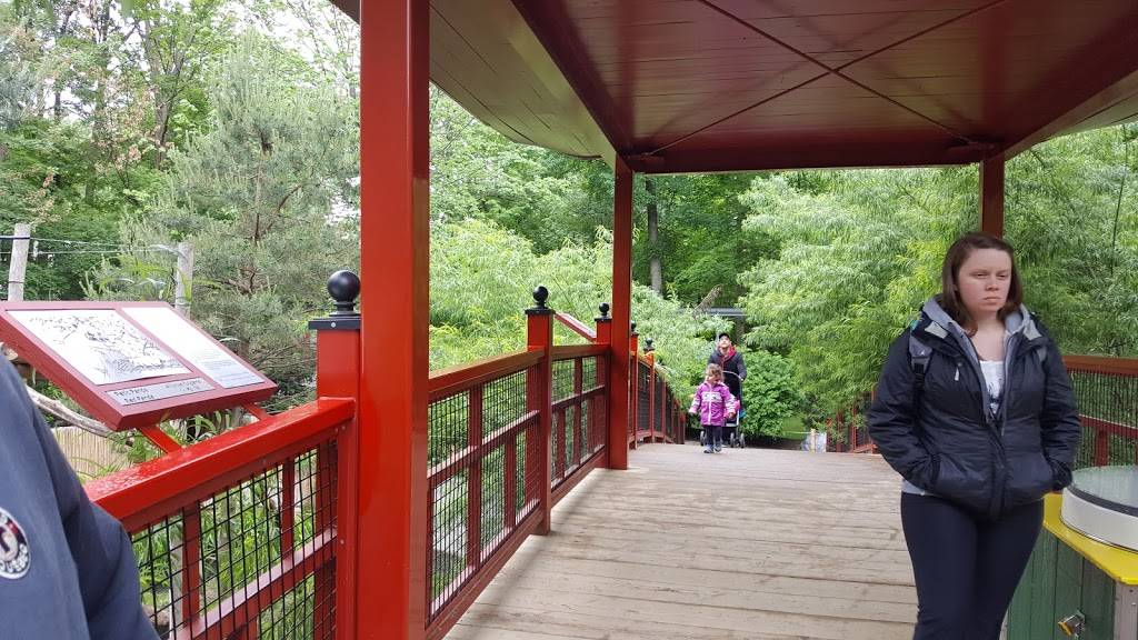 Beaver Tails | restaurant | 525 Rue Saint-Hubert, Granby, QC J2G 5P3, Canada | 4503729113 OR +1 450-372-9113