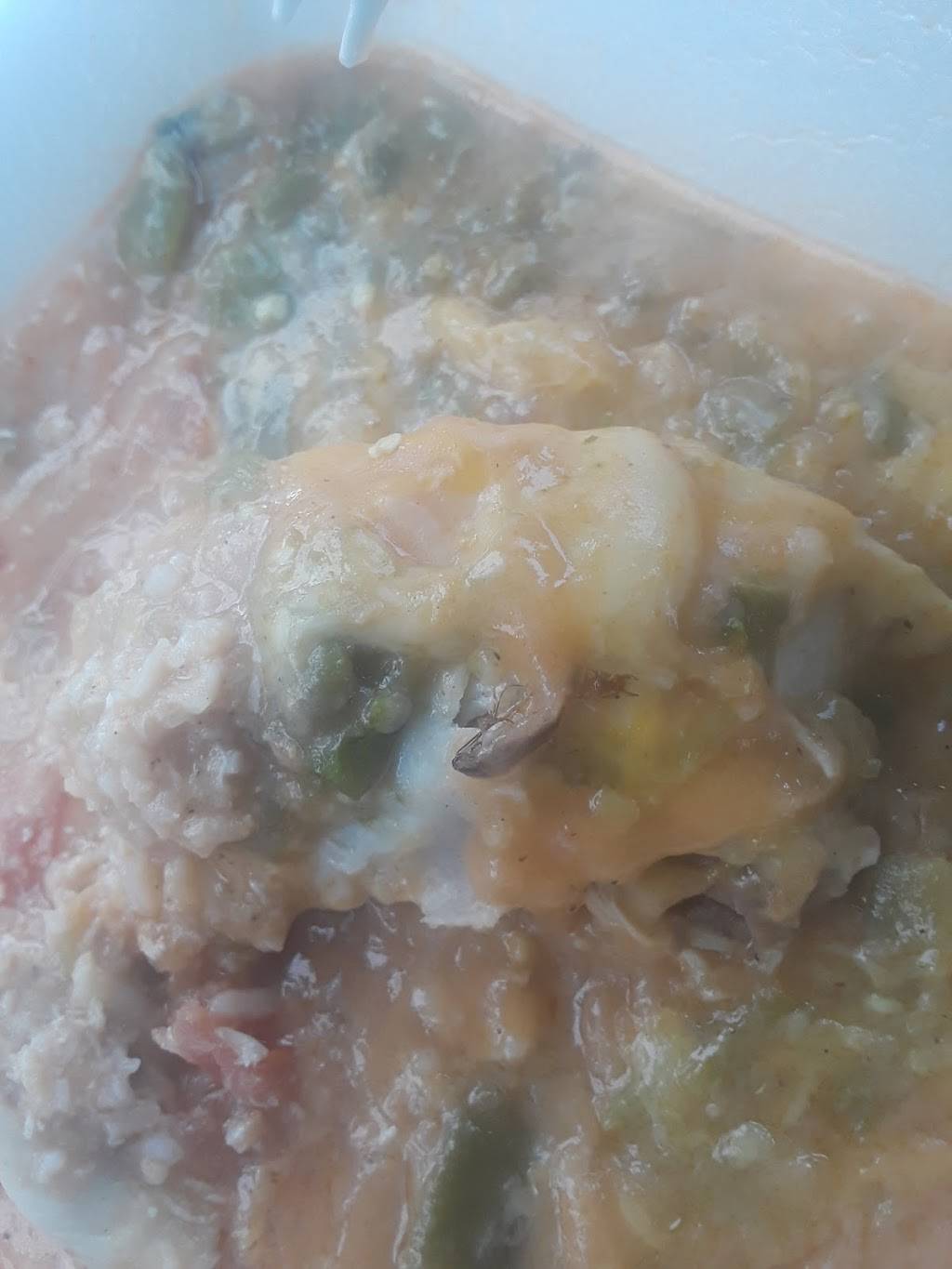 Girasoles Mexican Grill | restaurant | 2940 Bruce Randolph Ave, Denver, CO 80205, USA | 3039979674 OR +1 303-997-9674