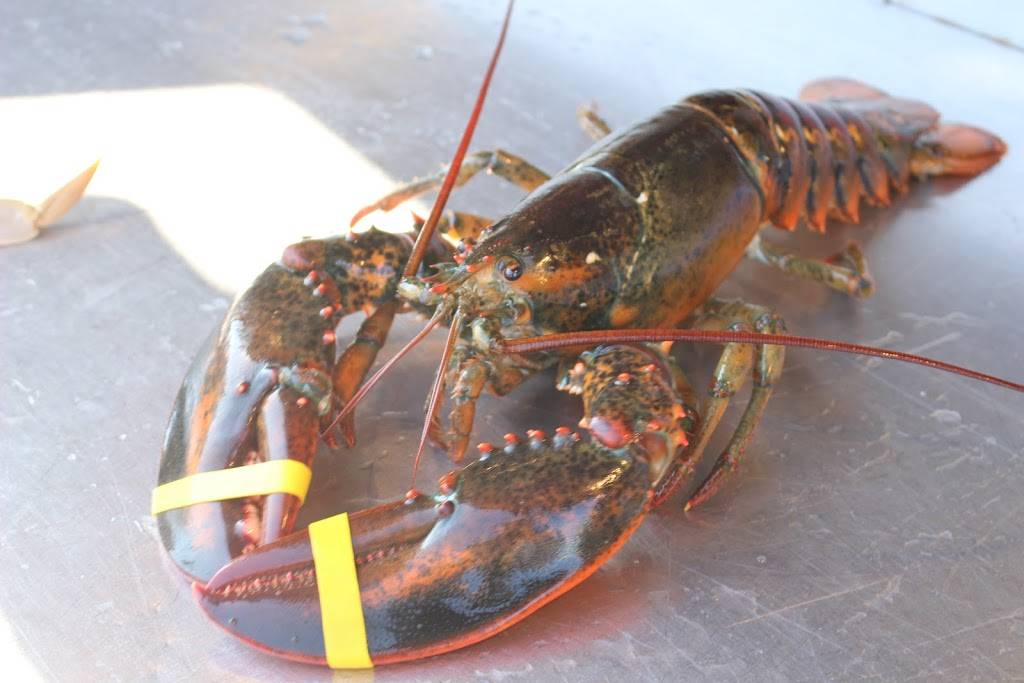 Simco Group | restaurant | Pier 39 Beach St #213, San Francisco, CA 94133, USA | 4159825872 OR +1 415-982-5872