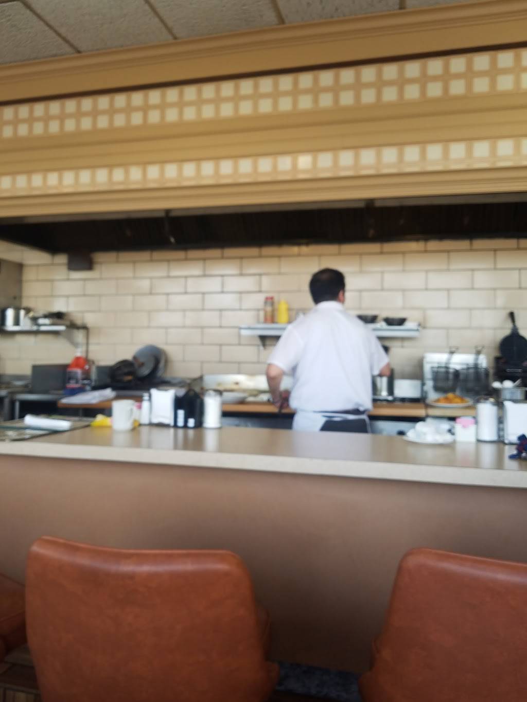 Sunshine Restaurant Inc | restaurant | 3523 N Kedzie Ave, Chicago, IL 60618, USA | 7732671578 OR +1 773-267-1578