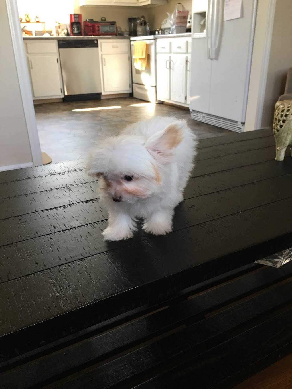 Subway | restaurant | 1094 N Breazeale Ave, Mt Olive, NC 28365, USA | 9196583822 OR +1 919-658-3822