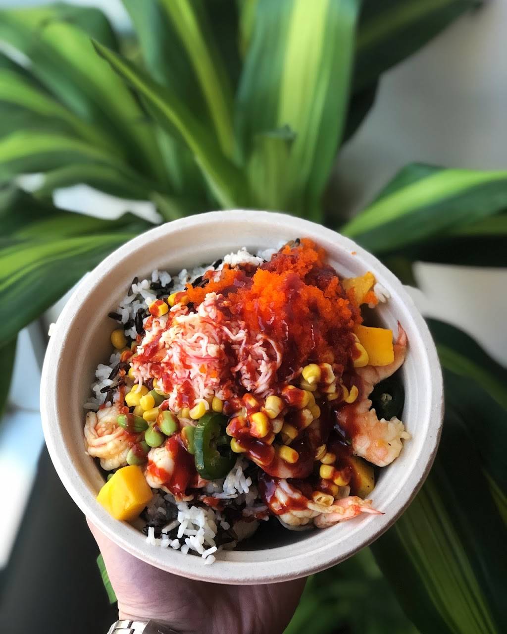 Happy Fin | restaurant | 60 Henry St, Brooklyn, NY 11201, USA | 3474575440 OR +1 347-457-5440