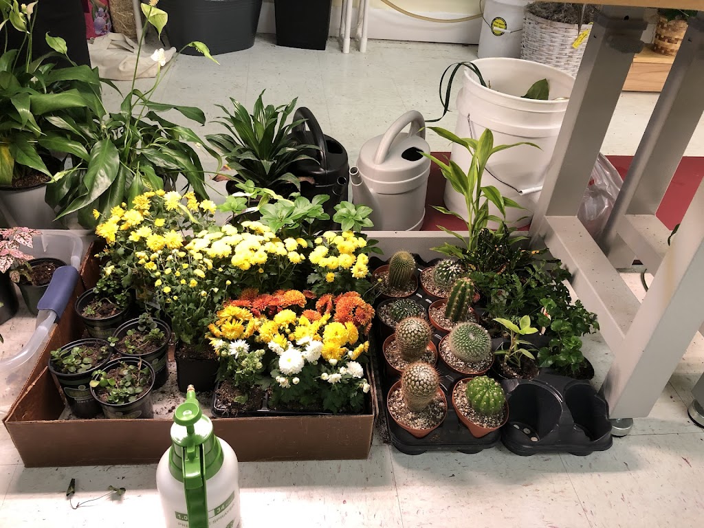 The Flower Pot Galleria & Eatery | restaurant | 4360 S Hwy 27, Somerset, KY 42501, USA | 6064254874 OR +1 606-425-4874