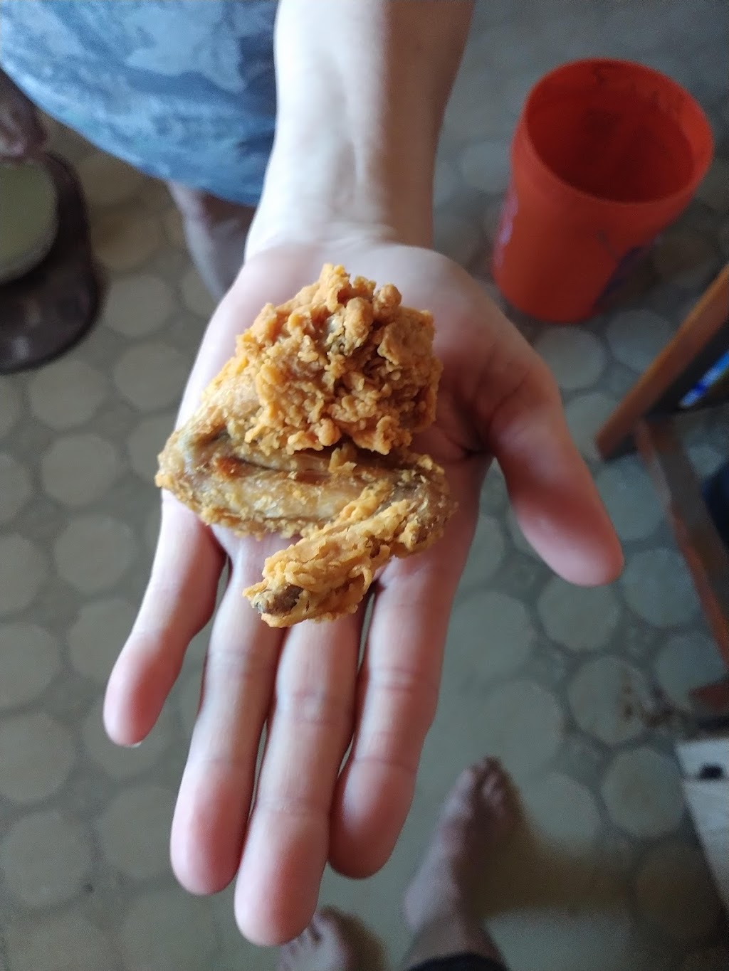 Popeyes Chicken | restaurant | 2062 FL-19, Tavares, FL 32778, USA | 3522537000 OR +1 352-253-7000