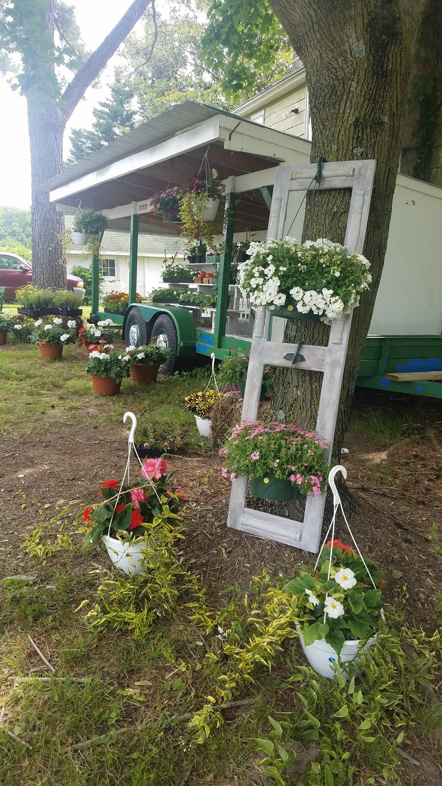 Gunthers Pit Beef & Produce | restaurant | 1501 Starr Rd, Centreville, MD 21617, USA | 4439883034 OR +1 443-988-3034