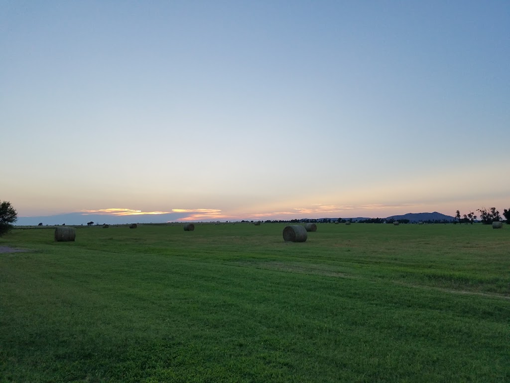 Warren Cafe | restaurant | Blair, OK 73526, USA | 5805632706 OR +1 580-563-2706